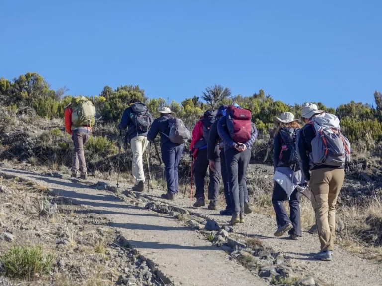 Kilimanjaro Mountain-Biking Tour from Moshi