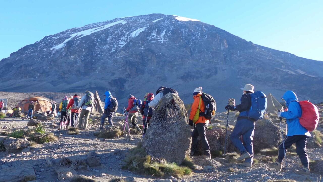 Sustainable Kilimanjaro Climbing Packages For | Top Guide Adventures 2026-2027