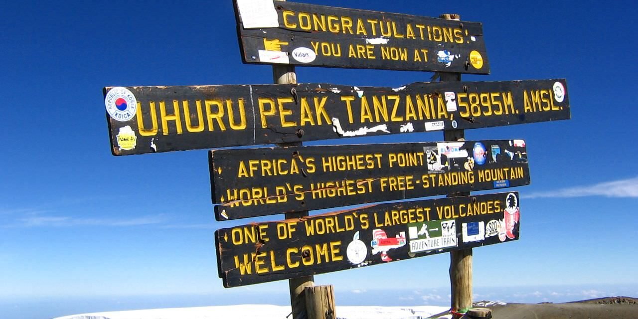 What Does Kilimanjaro Rainforest Look Like? A Trekkers Visual Guide 2026-2027