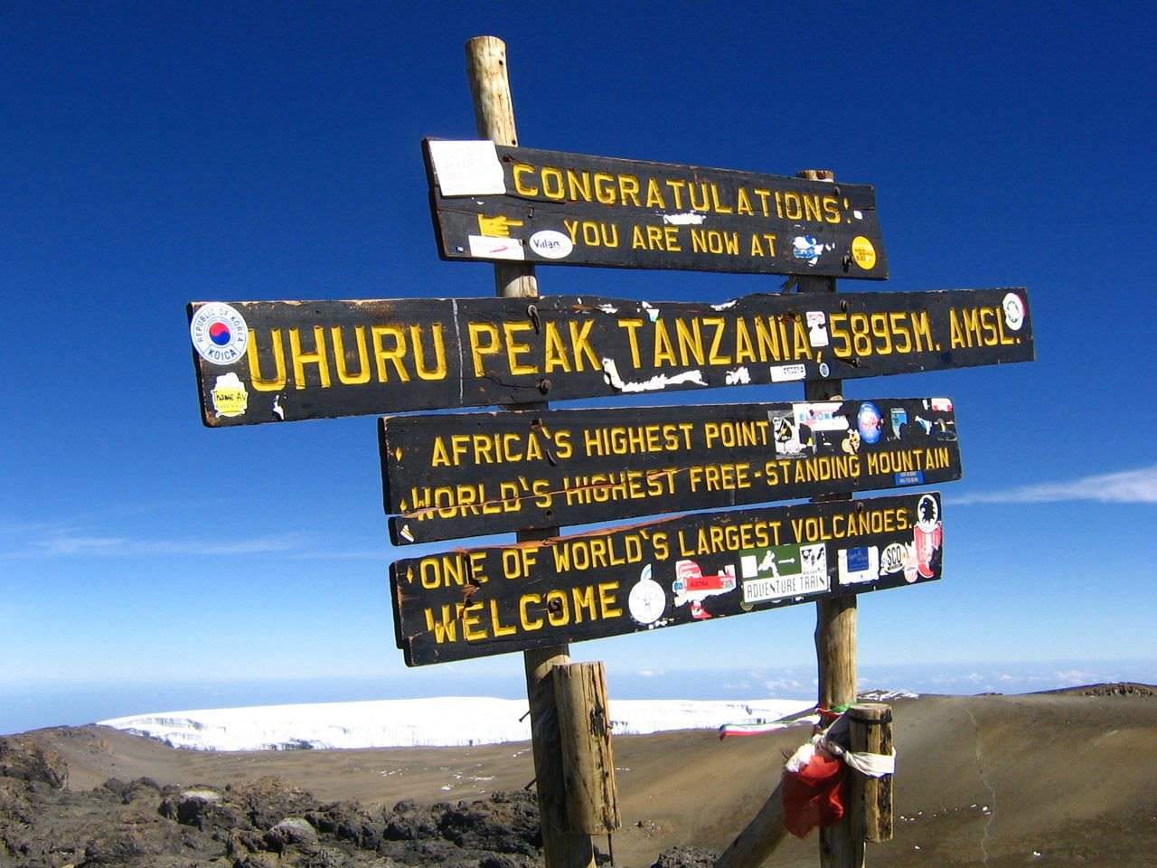 What Does Kilimanjaro Rainforest Look Like? A Trekkers Visual Guide 2026-2027