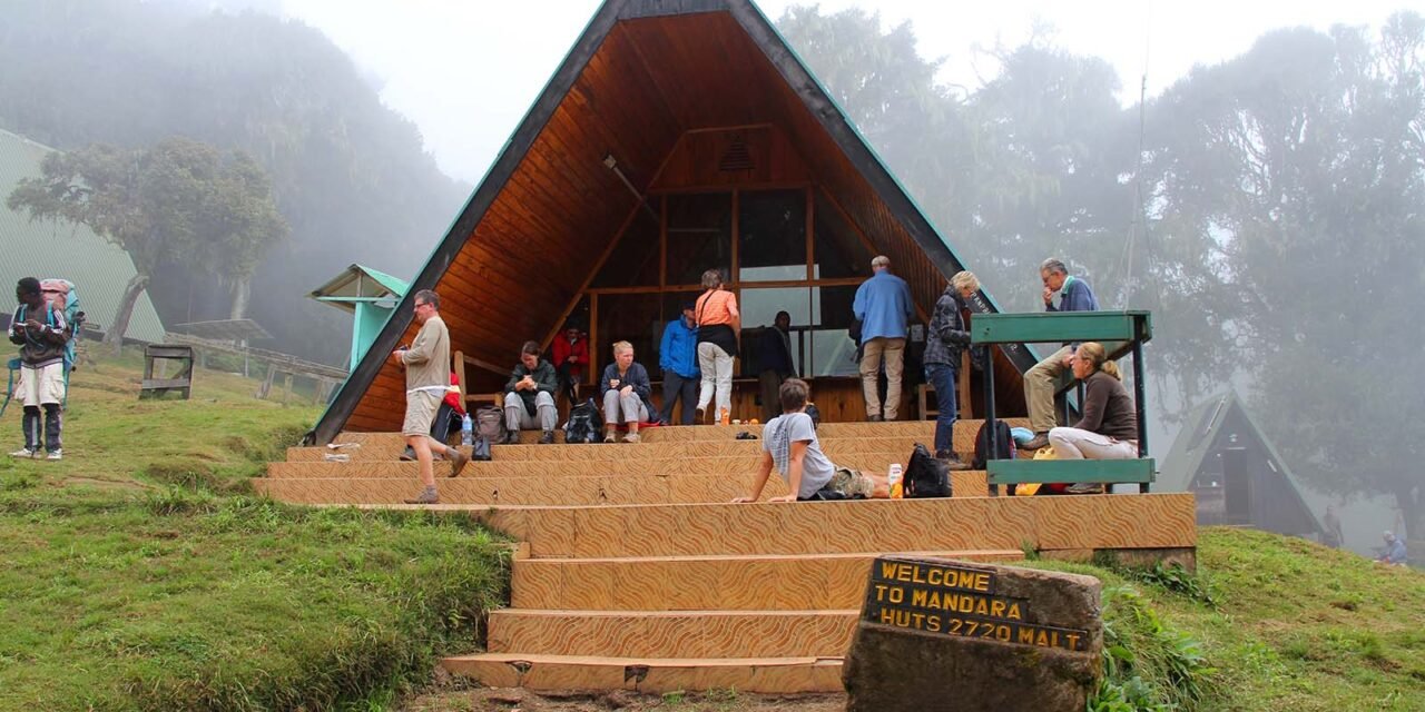 Kilimanjaro Personal Porter Vs Standard Support 2026-2027