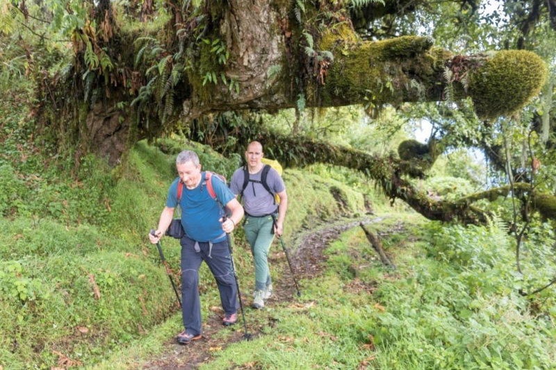 Mount Meru Climb Before Kilimanjaro - Book Perfect Training Trek in Tanzania