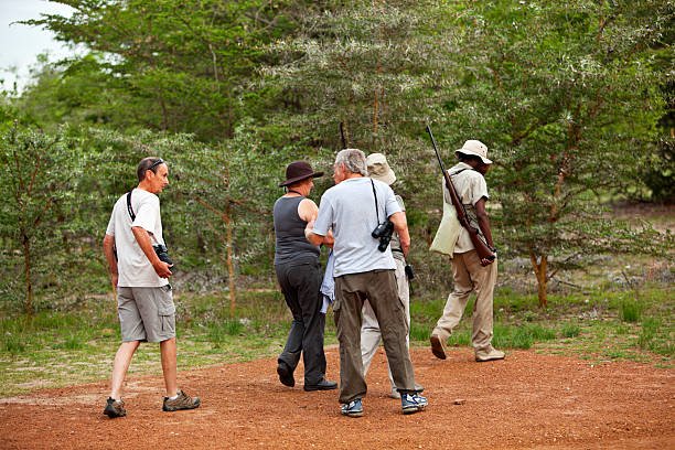 What Is The Best-Value Safari From Zanzibar? Top Guide Adventures 2026-2027 What Is The Best-Value Safari From Zanzibar? Top Guide Adventures 2026-2027