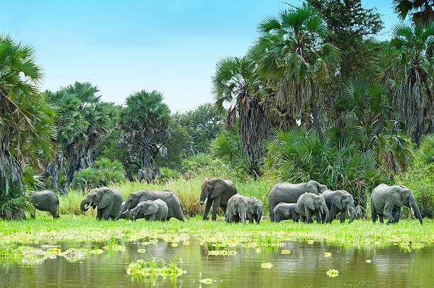 7-Day Tanzania Bush And Beach Holiday: Safari & Zanzibar Bliss 2026-2027 7-Day Tanzania Bush And Beach Holiday: Safari & Zanzibar Bliss 2026-2027