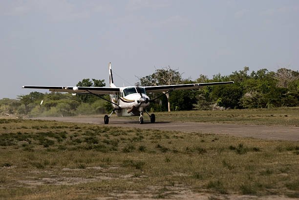 10-Day Selous, Mikumi And Ruaha Safari Guide 10-Day Selous, Mikumi And Ruaha Safari Guide