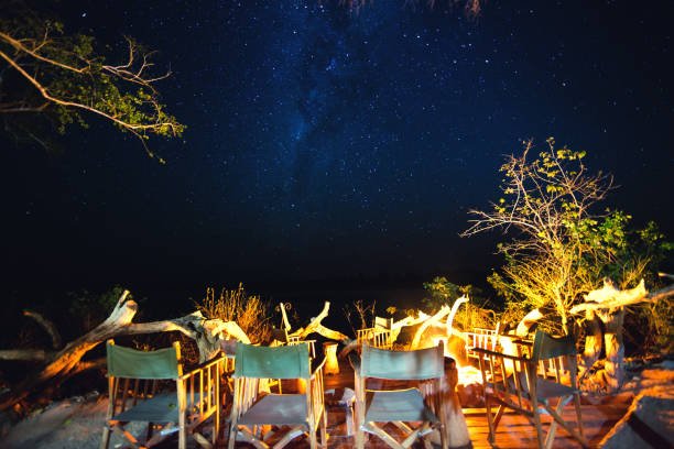 9-Day Selous Glamping And Spice Island Holiday: Your Ultimate Tanzania Escape 9-Day Selous Glamping And Spice Island Holiday: Your Ultimate Tanzania Escape