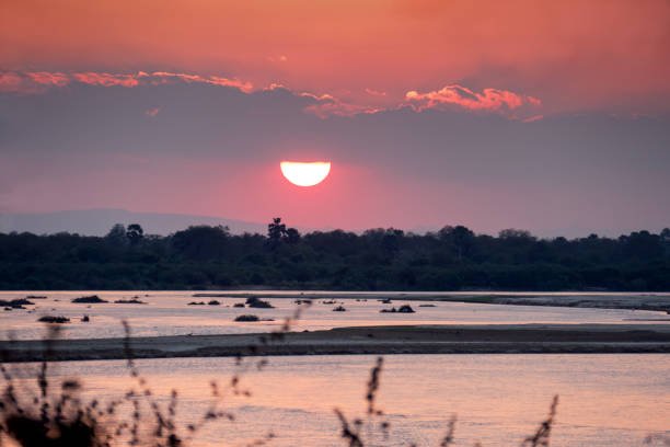 8-Day Southern Tanzania Luxury Safari: Selous & Ruaha 2026-2027 8-Day Southern Tanzania Luxury Safari: Selous & Ruaha 2026-2027