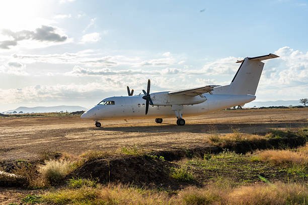 14-Day Tanzania Southern Circuit And Zanzibar Adventure 2026-2027 14-Day Tanzania Southern Circuit And Zanzibar Adventure 2026-2027