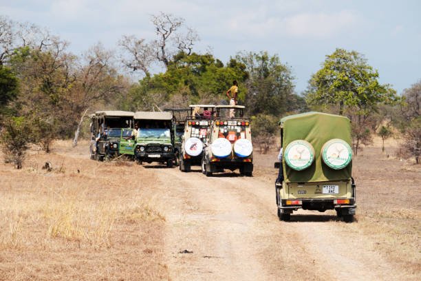 3-Day Selous Honeymoon Safari From Zanzibar: Your Ultimate Romantic Escape 3-Day Selous Honeymoon Safari From Zanzibar: Your Ultimate Romantic Escape