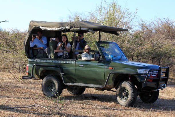 8-Day Nyerere Family Safari: The Ultimate Tanzania Adventure 2026-2027 8-Day Nyerere Family Safari: The Ultimate Tanzania Adventure 2026-2027
