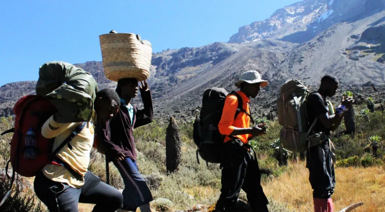 Kilimanjaro Tree-Planting Climbing Package