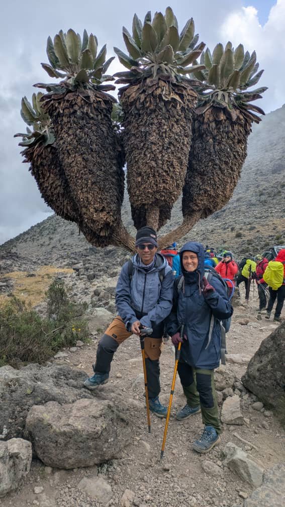 July Kilimanjaro Machame Route Best Value Trek: Expert Trekking Guide