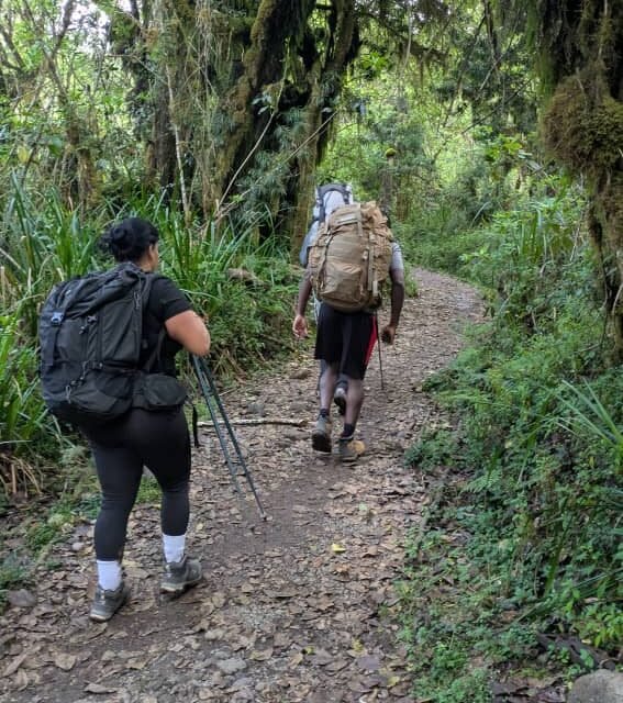 Kilimanjaro Climbing In March : Weather And Route Guide For Top Adventures