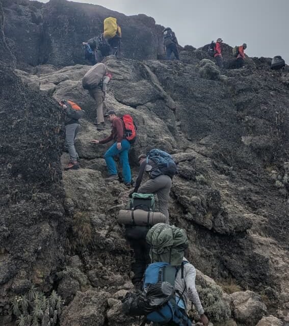 Umbwe Route Flight Package: Expert Trekking Guide 2026-2027-2028