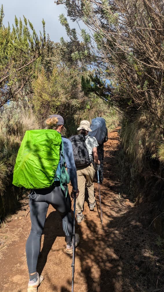 Join 6 Days Marangu Route – 13 November 2026 Departure | Classic Kilimanjaro C