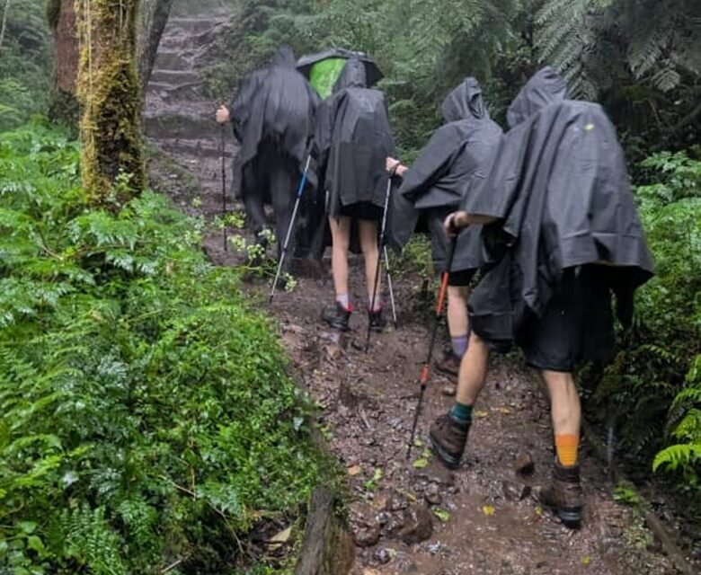 November Kilimanjaro Group Departures : Your Ultimate Climbing Guide 2026-2027