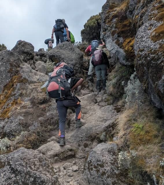 Best Lemosho Route Cost: Expert Trekking Guide 2026-2027-2028