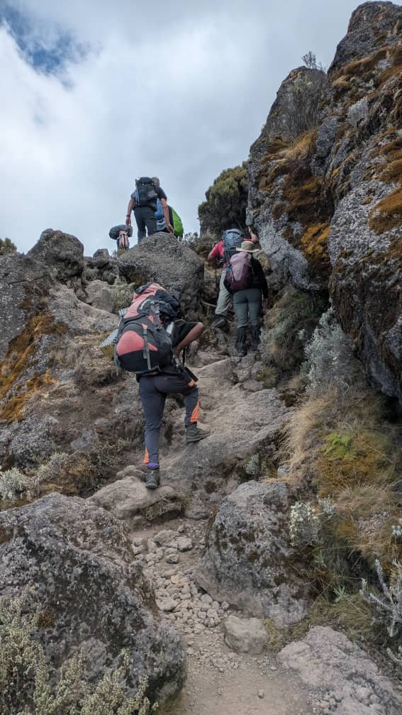 Kilimanjaro Marathon Travel Packages From Moshi | Top Guide Adventures