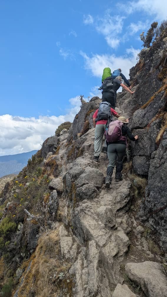 May Kilimanjaro Group Departures : Expert Planning & Dates 2026-2027