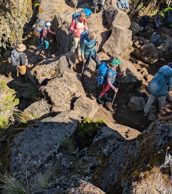 Join 8 Days Lemosho Route – 07 November 2026 Departure | Best Kilimanjaro Summ
