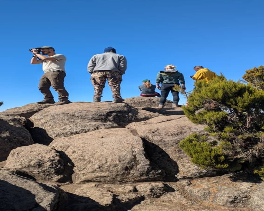 What Our Guests Say About Tanzania Safaris: Complete Guide 2027
