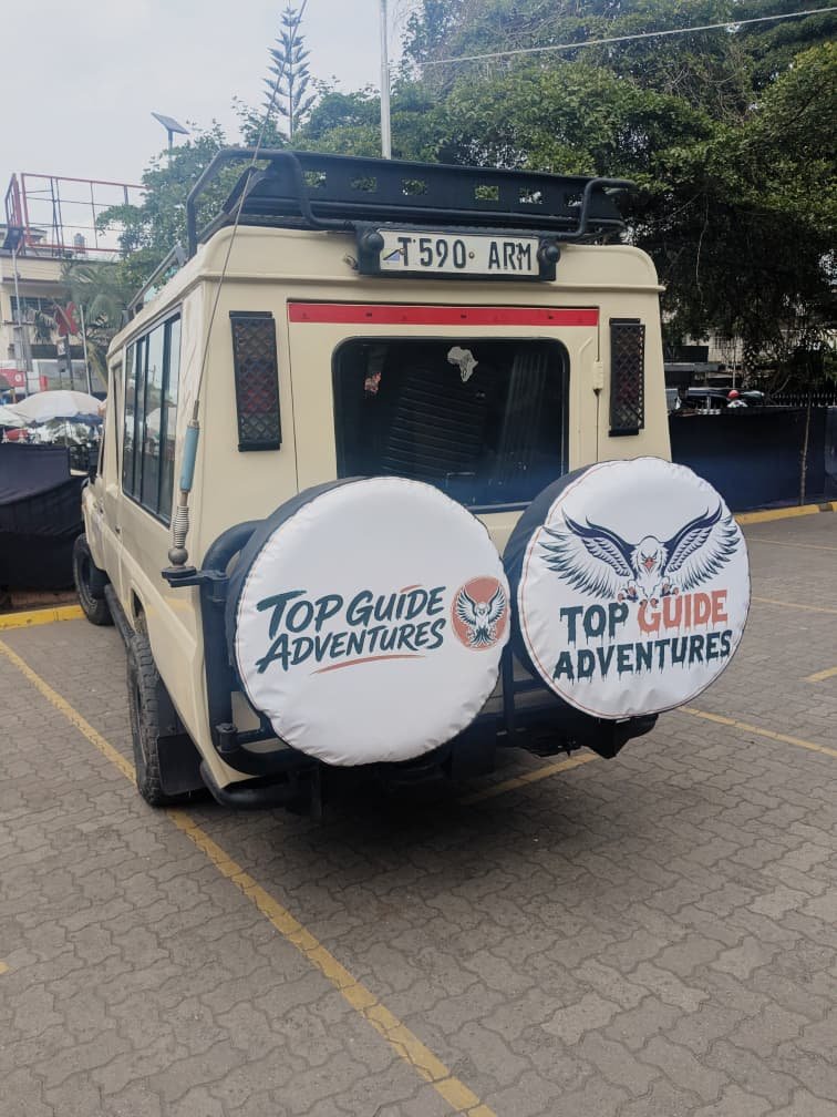 Half-Day Chemka Hot Springs Tour: Your Ultimate Guide From Arusha 2026-2027
