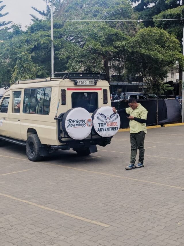 Is A Group Joining Safari In Tanzania Worth It? 2026-2027