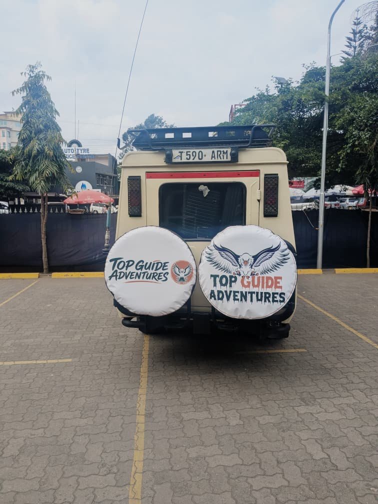6-Day Nyerere And Mikumi Safari Guide