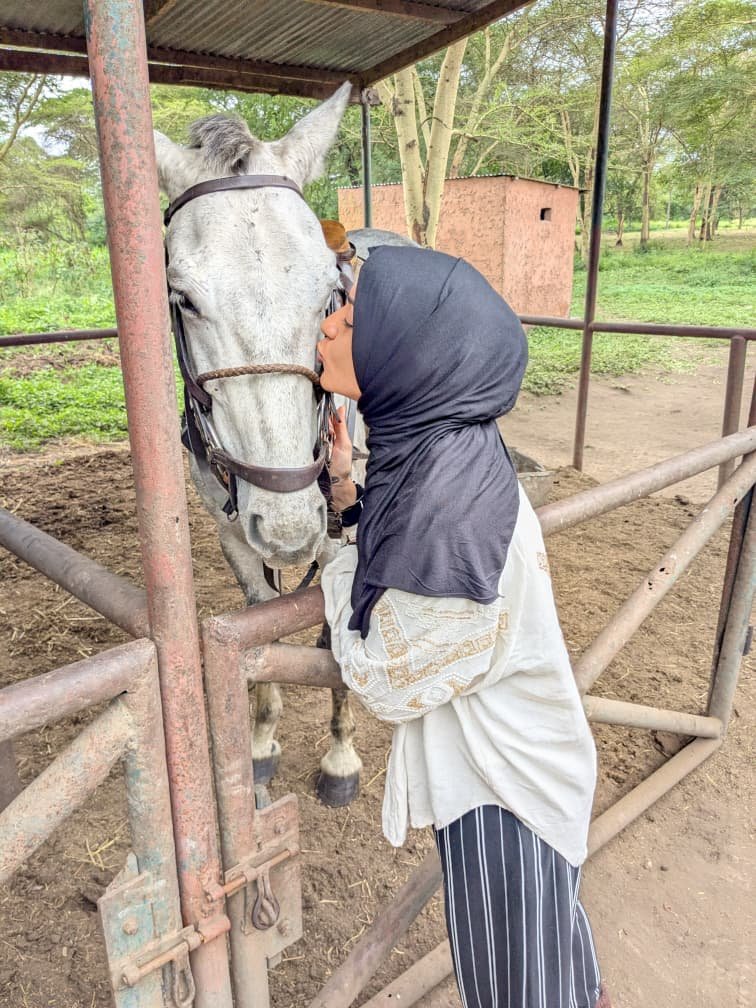 Off The Beaten Track Serengeti Horse Safari: Your Adventure Awaits 2026-2027