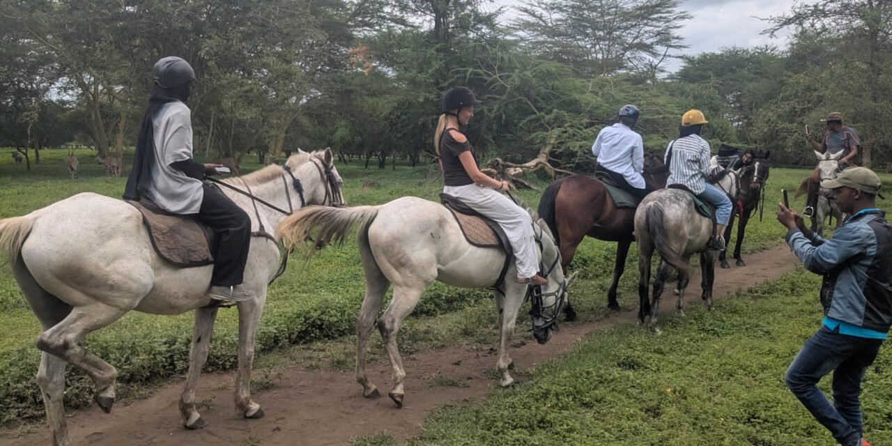 Best East Africa Tour Operator — Top Guide Adventures: Complete 2027
