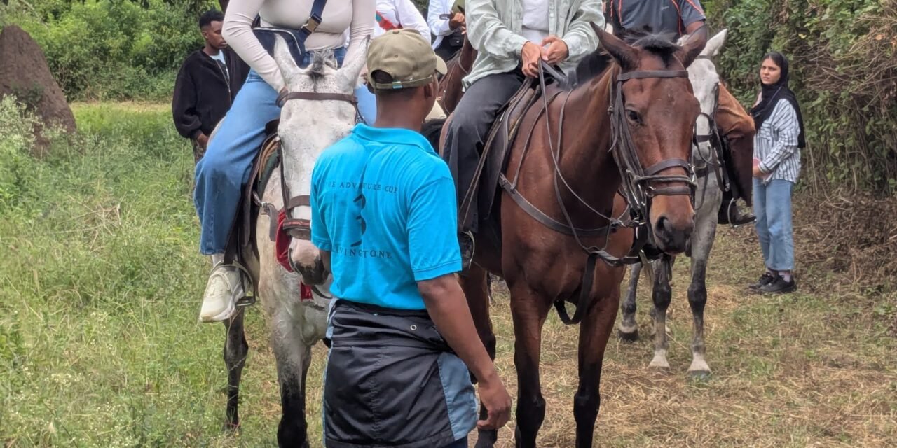Serengeti Horseback Safari Price: Your Planning Guide 2026-2027