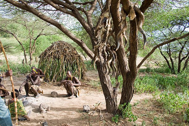 4-Day Serengeti Ngorongoro And Hadzabe Safari: Best Guide 2026-2027