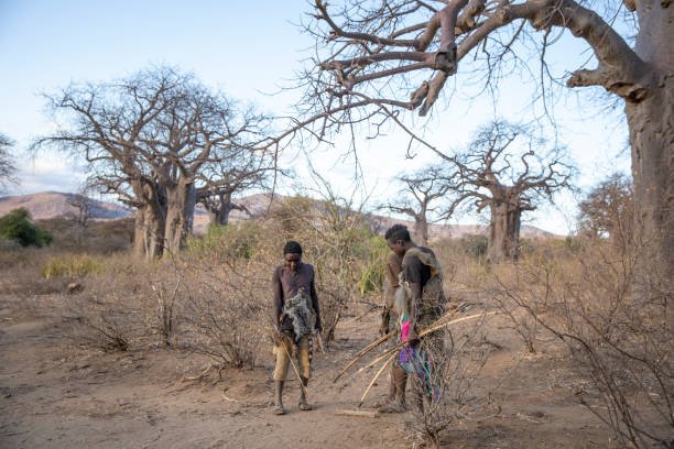 Hadzabe Cultural Safari Price: Best Guide 2026-2027