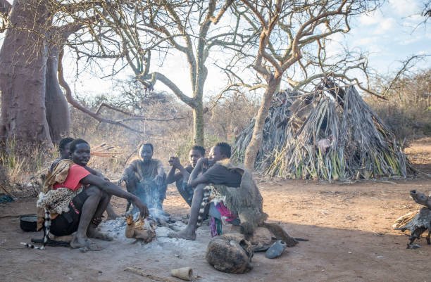 What Is Included In Hadzabe Tour Cost?: Complete Guide 2026-2027