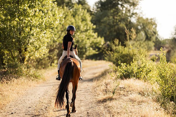 Dolly Estate Wildlife Horse Riding: Your Ultimate Tanzania Adventure 2026-2027