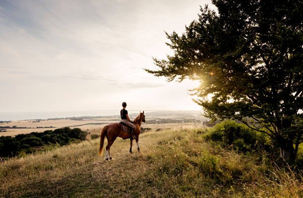 Dolly Estate Wildlife Horse Riding: Your Ultimate Tanzania Adventure 2026-2027