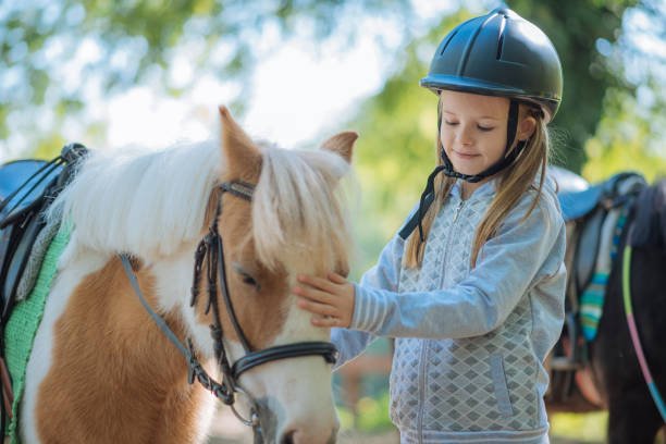 Horse Riding Safari Tanzania Price: Your Guide To Costs And Experiences