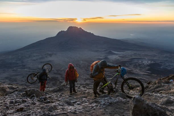 Northern Circuit Route Kilimanjaro Packages From Moshi: Expert Trekking Guide