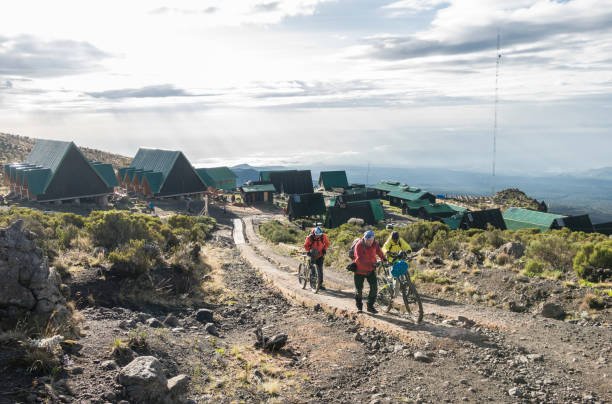 1 Day The Best Machame Route Kilimanjaro Trekking Tour: Expert Guide 2026-2027