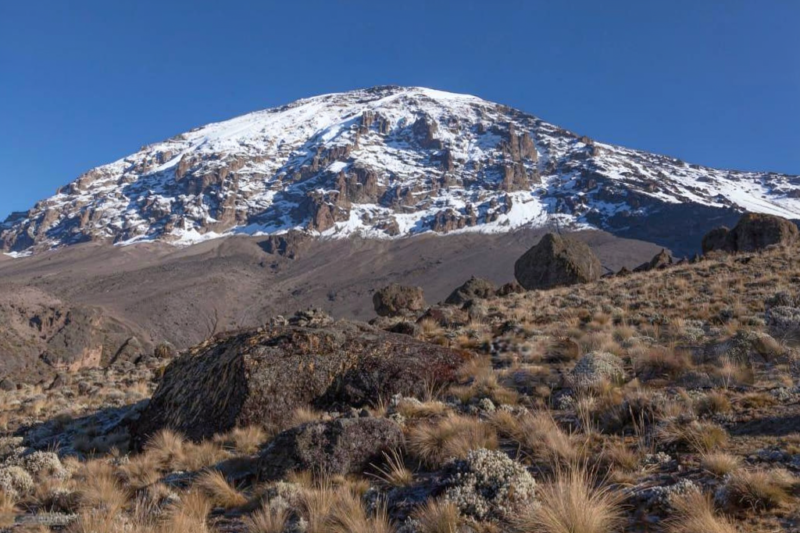 Group Joining 7 Days Lemosho Route Kilimanjaro Climb Price 2026-2027