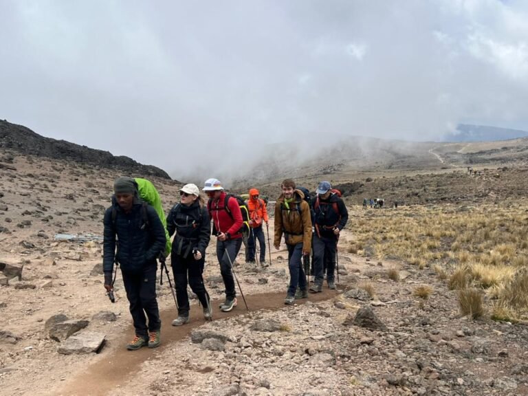 Kilimanjaro Gate Tour From Arusha – Photos Without Climbing