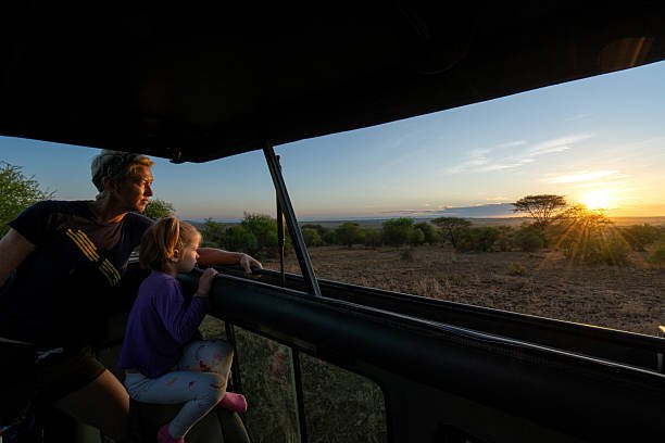 How Much Is A Mikumi Safari From Zanzibar? Pricing & Planning 2026-2027 How Much Is A Mikumi Safari From Zanzibar? Pricing & Planning 2026-2027