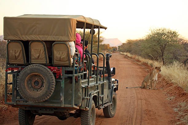 Luxury 2-Day Selous Safari Price