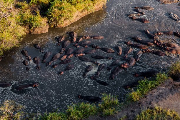 9 Days Tanzania Luxury Safari With Balloon Experience: Ultimate Itinerary