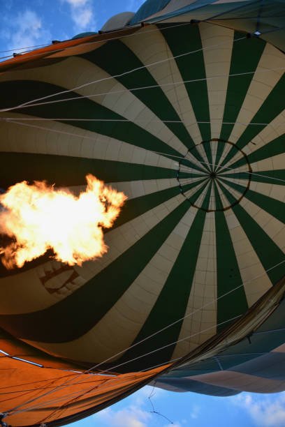 3 Days Ruaha Safari With Balloon Ride: An Unforgettable Tanzanian Adventure