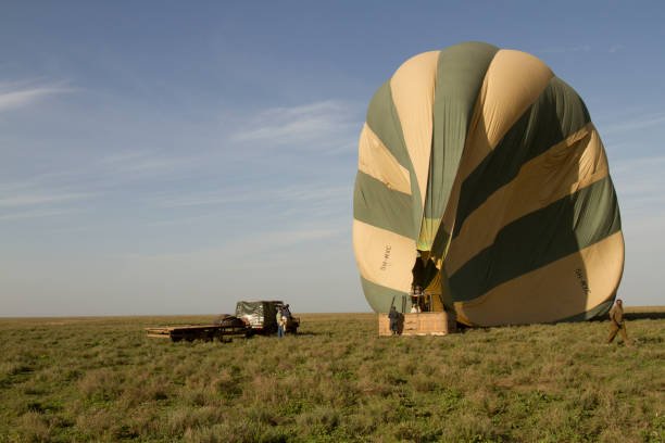 5 Days Ndutu Calving Safari with Balloon Flight