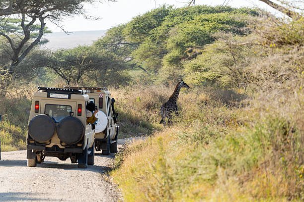 9-Day Ngorongoro, Lake Natron & Serengeti Tour: Tanzanias Iconic Wildlife &