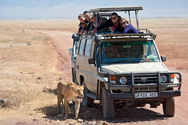 Best Tours From Moshi: Complete Guide 2026-2027-2028