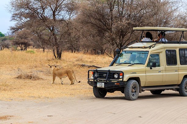 Ruaha Honeymoon Safari: The Ultimate Romantic Adventure In Tanzania 2026-2027