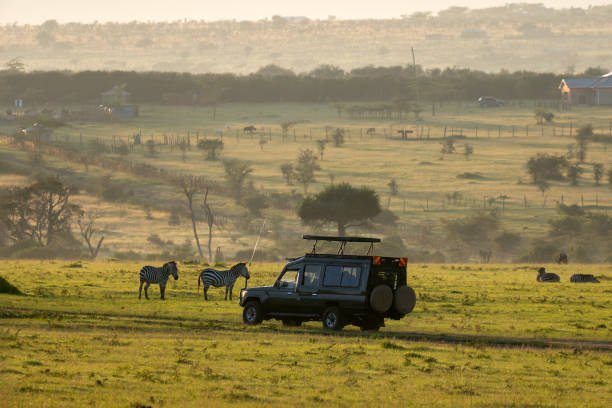 Affordable Nyerere Fly-In Safari Packages For Adventures 2026-2027